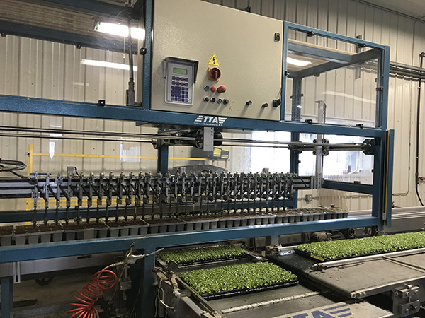 Transplanting machines